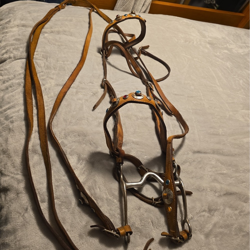 Vintage Jeweled Leather Headstall Set Bit, Bridle And Reins Parade Set Western